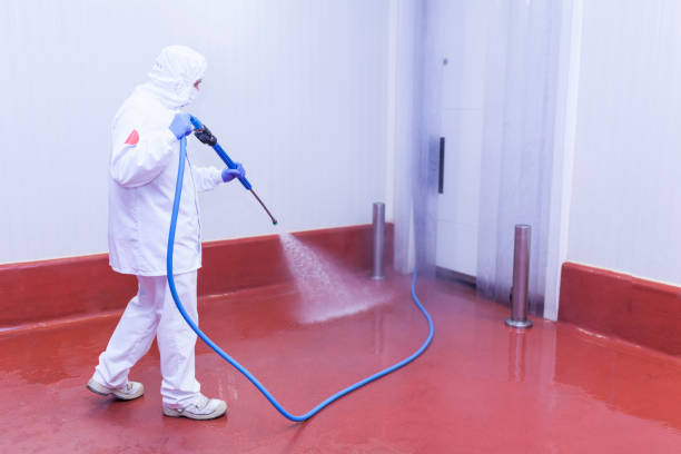 Best Gutter Cleaning and Brightening in Forest City, NC
